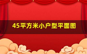 45平方米小户型平面图