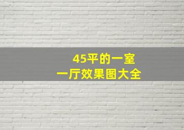 45平的一室一厅效果图大全