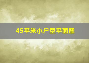 45平米小户型平面图