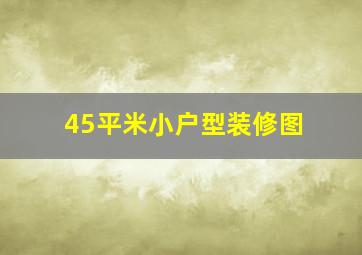 45平米小户型装修图