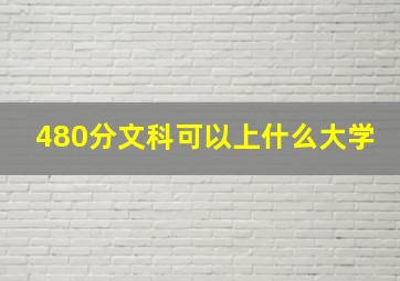 480分文科可以上什么大学