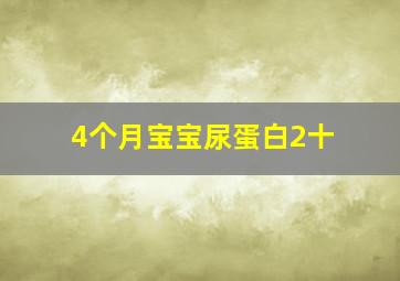 4个月宝宝尿蛋白2十