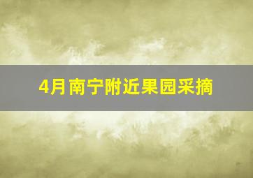 4月南宁附近果园采摘