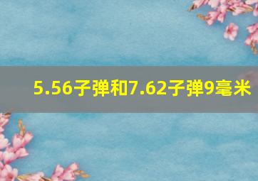 5.56子弹和7.62子弹9毫米