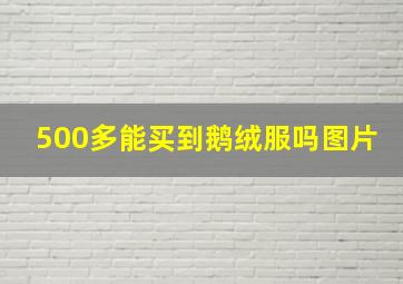 500多能买到鹅绒服吗图片