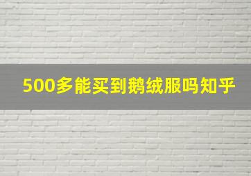 500多能买到鹅绒服吗知乎