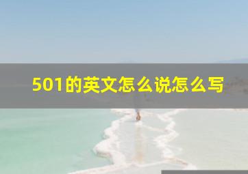 501的英文怎么说怎么写