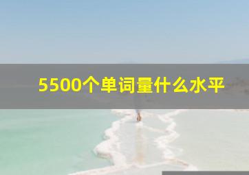 5500个单词量什么水平