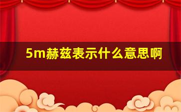 5m赫兹表示什么意思啊