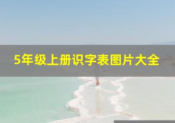 5年级上册识字表图片大全