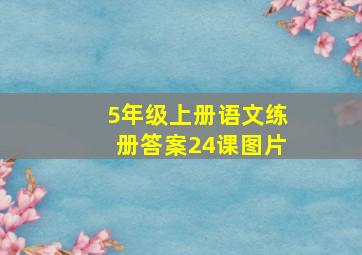 5年级上册语文练册答案24课图片