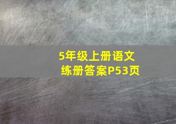 5年级上册语文练册答案P53页