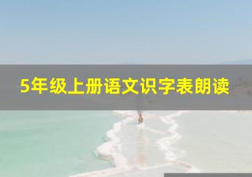 5年级上册语文识字表朗读