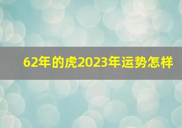 62年的虎2023年运势怎样