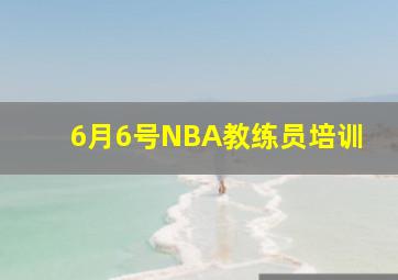 6月6号NBA教练员培训