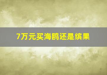 7万元买海鸥还是缤果