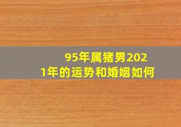 95年属猪男2021年的运势和婚姻如何