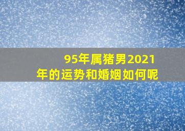 95年属猪男2021年的运势和婚姻如何呢