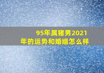 95年属猪男2021年的运势和婚姻怎么样