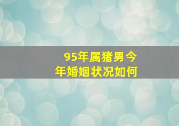 95年属猪男今年婚姻状况如何