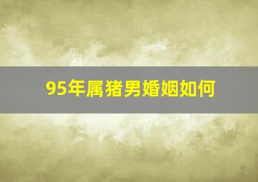 95年属猪男婚姻如何