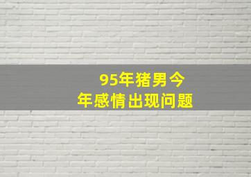 95年猪男今年感情出现问题