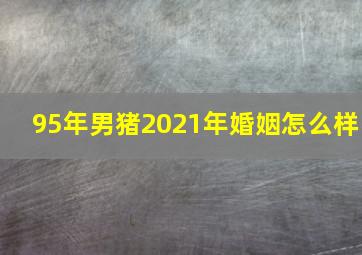 95年男猪2021年婚姻怎么样