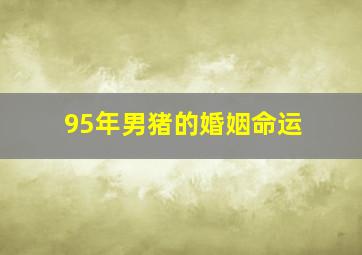 95年男猪的婚姻命运