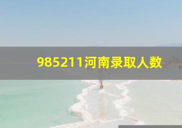 985211河南录取人数