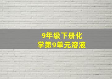 9年级下册化学第9单元溶液