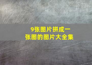 9张图片拼成一张图的图片大全集