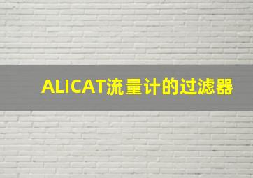 ALICAT流量计的过滤器