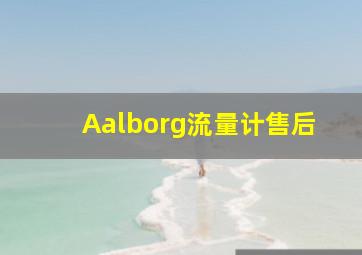 Aalborg流量计售后