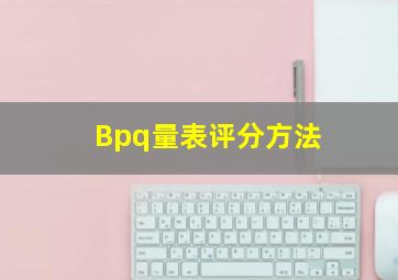 Bpq量表评分方法