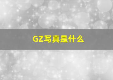 GZ写真是什么