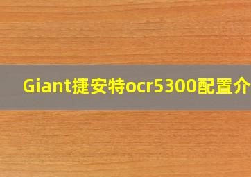 Giant捷安特ocr5300配置介绍