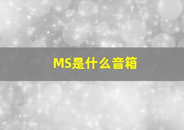 MS是什么音箱