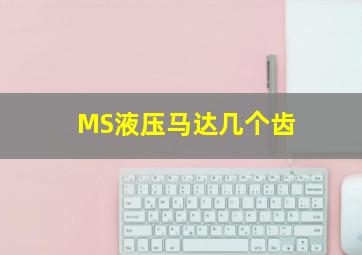 MS液压马达几个齿