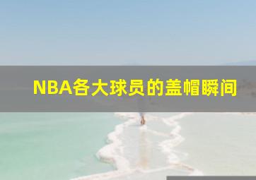 NBA各大球员的盖帽瞬间