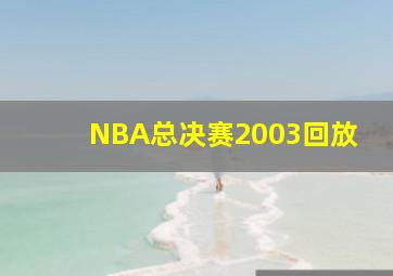 NBA总决赛2003回放