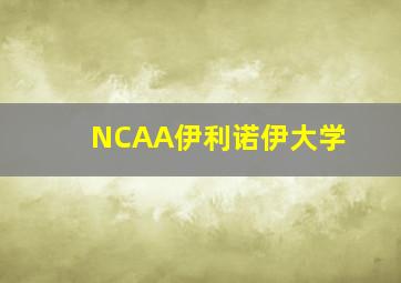 NCAA伊利诺伊大学