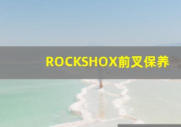 ROCKSHOX前叉保养