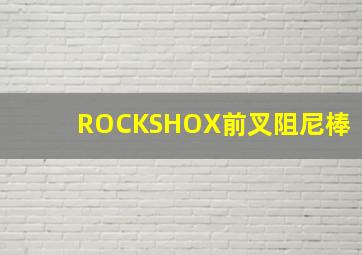 ROCKSHOX前叉阻尼棒