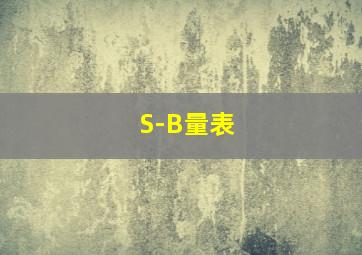 S-B量表