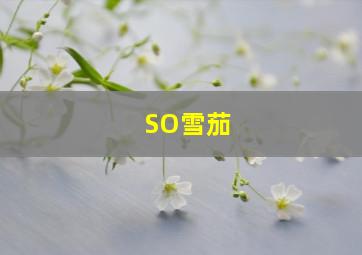 SO雪茄