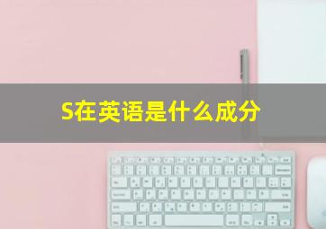 S在英语是什么成分