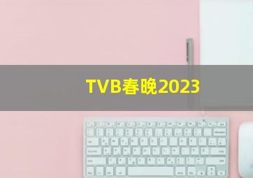 TVB春晚2023