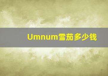 Umnum雪茄多少钱