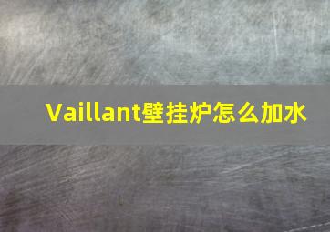 Vaillant壁挂炉怎么加水