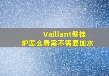 Vaillant壁挂炉怎么看需不需要加水